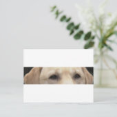 gelbe Labrador Augen Postkarte (Stehend Vorderseite)