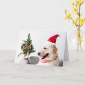 GELBE LABRADOR BEI CHRISTMAS Faltenkarte Karte (Gelbe Blume)