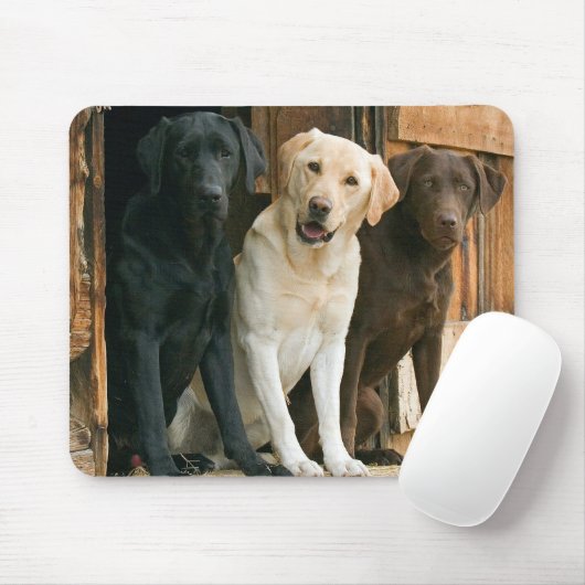 Gelbe Labrador Black Brown Labrador Retriever Mousepad (Mit Mouse)