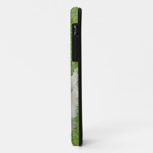 Gelbe Labrador Case-Mate iPhone Hülle (Hinten/Links)