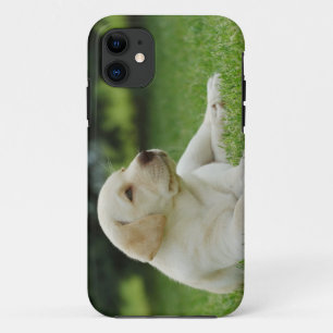 Gelbe Labrador Case-Mate iPhone Hülle