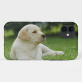 Gelbe Labrador Case-Mate iPhone Hülle (Rückseite (Horizontal))