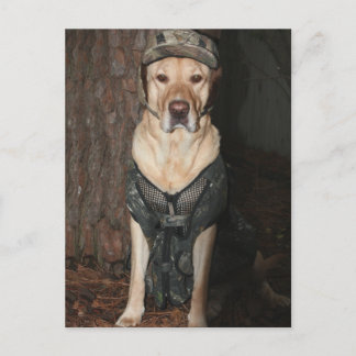 Gelbe Labrador der Jagd Postkarte