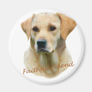 Gelbe Labrador Faitheid Magnet