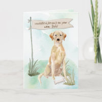 Gelbe Labrador Glückwunsch zum neuen Hund