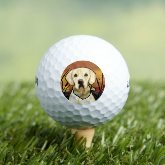 GELBE LABRADOR GOLFBALL (Insitu T-Shirt)