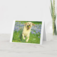 Gelbe Labrador Grußkarte mit Biverse