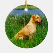 Gelbe Labrador im Gras Keramik Ornament (Hinten)