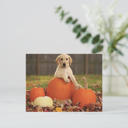 gelbe Labrador im Herbst Postkarte (Stehend Vorderseite)