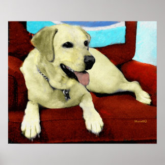 GELBE LABRADOR IM VORSITZ POSTER