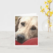 Gelbe Labrador Karte (Gelbe Blume)