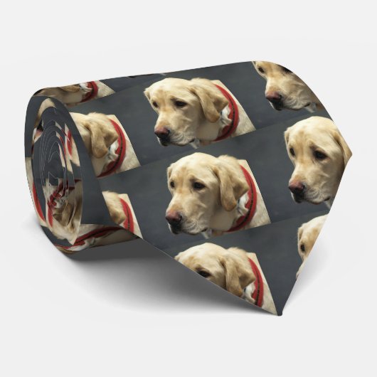 gelbe Labrador-Krawatte Krawatte (Gerollt)