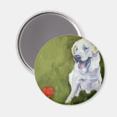 Gelbe Labrador Magnet (Vorderseite/Rückseite)
