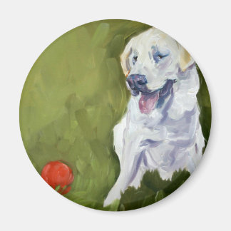 Gelbe Labrador Magnet
