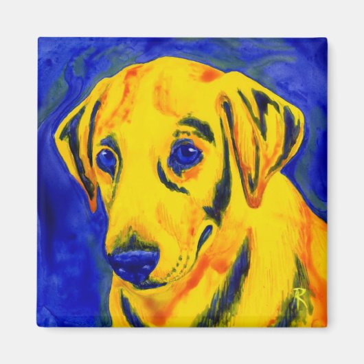 Gelbe Labrador Magnet - "Archie" (Vorne)