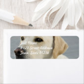Gelbe Labrador-Mailing-Labels (Insitu)