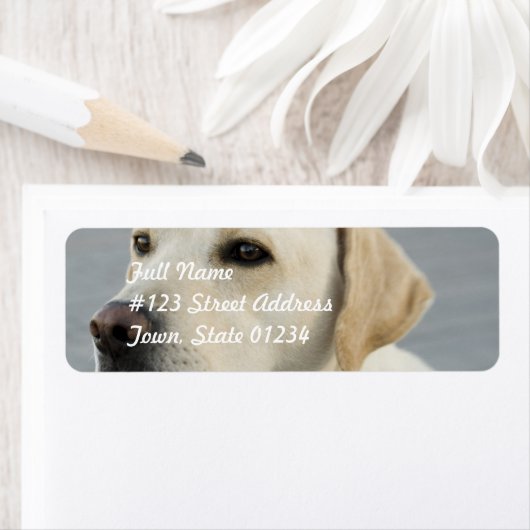 Gelbe Labrador-Mailing-Labels (Insitu)