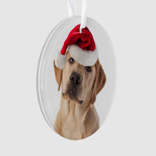 Gelbe Labrador mit Weihnachtsmannmütze Ornament (Vorderseite)