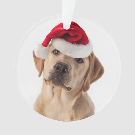 Gelbe Labrador mit Weihnachtsmannmütze Ornament (Vorderseite)