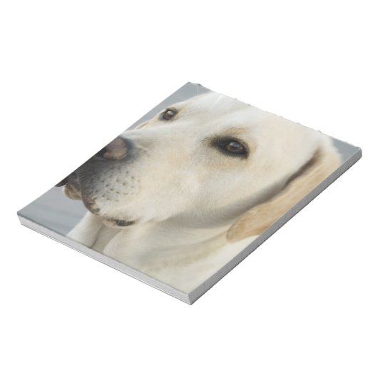 Gelbe Labrador Notepad Notizblock (Rotiert)