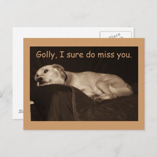 gelbe Labrador Pit Husky Golly Ich bin sicher, Sie Postkarte (Vorne/Hinten)