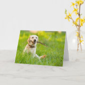 Gelbe Labrador-Plays mit Stick Karte (Gelbe Blume)