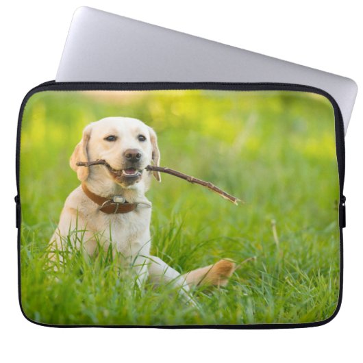 Gelbe Labrador-Plays mit Stick Laptopschutzhülle (Vorderseite)