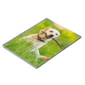 Gelbe Labrador-Plays mit Stick Notizblock (Linke Seite)