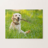 Gelbe Labrador-Plays mit Stick Puzzle (Horizontal)