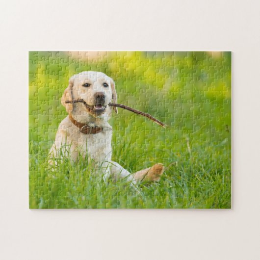 Gelbe Labrador-Plays mit Stick Puzzle (Horizontal)
