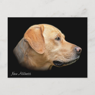 Gelbe Labrador Portrait Neue Adresse Ankündigungspostkarte