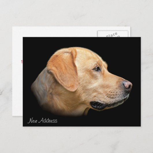 Gelbe Labrador Portrait Neue Adresse Ankündigungspostkarte (Vorne/Hinten)