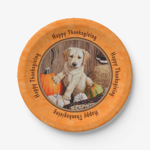 Gelbe Labrador Pup und Pumpkin Harvest Orange Pappteller