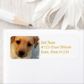 Gelbe Labrador-Puppy-Mailing-Label (Insitu)