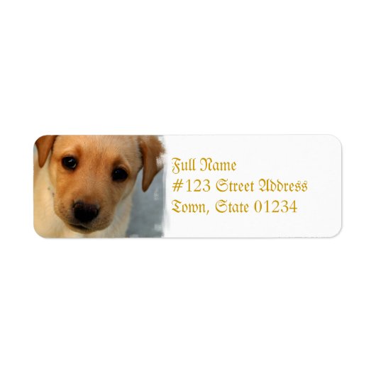 Gelbe Labrador-Puppy-Mailing-Label (Vorne)