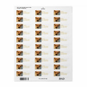 Gelbe Labrador-Puppy-Mailing-Label (Vorne)