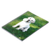 Gelbe Labrador Puppy Notizblock (Linke Seite)