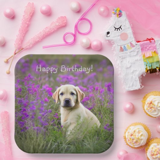 Gelbe Labrador Puppy Pappteller (Party)