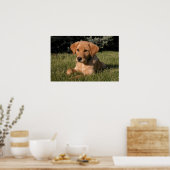 Gelbe Labrador Puppy Poster (Küche)
