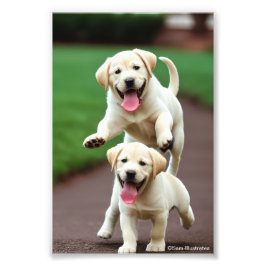 Gelbe Labrador Puppy Satin Foto Erweiterung