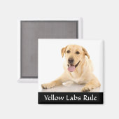 Gelbe Labrador Regel "Labrador Retreiver"-Magnet Magnet (Vorderseite/Rückseite)