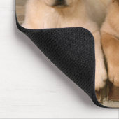 Gelbe Labrador Reittiere Welpenhunde Mousepad (Ecke)