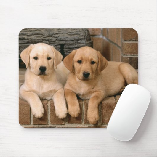 Gelbe Labrador Reittiere Welpenhunde Mousepad (Mit Mouse)