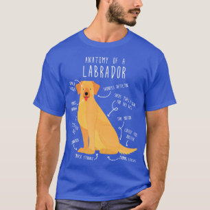 Gelbe Labrador Retriever Anatomie des Hundes T-Shirt
