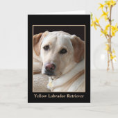 Gelbe Labrador retriever-Gruß-Karte (freier Raum) Karte (Gelbe Blume)