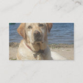 Gelbe Labrador retriever-HundeVisitenkarte Visitenkarte (Rückseite)