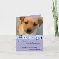 Gelbe Labrador retriever-Welpen-Geburtstags-Grüße