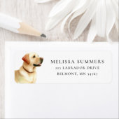 Gelbe Labrador-Rückgabeadresse (Insitu)