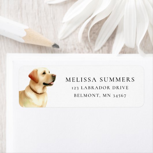 Gelbe Labrador-Rückgabeadresse (Insitu)