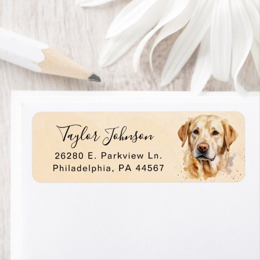 Gelbe Labrador-Rücksendeadresse (Insitu)